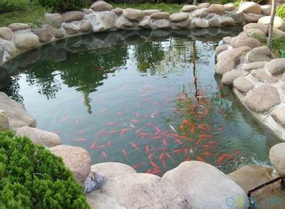 北京通州改善&ldquo;水生态&rdquo;