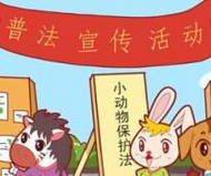 刚察法院民事审判庭召开2016年民商事审判工作安排会