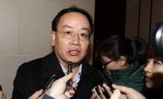 桂敏杰：战略新兴板未推迟 正积极稳妥准备