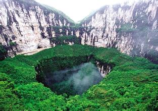 广西现深度超400米天坑：多种生物不知名