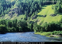 大兴安岭林区森林资源持续增长