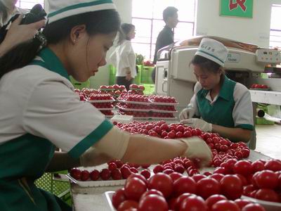 新发地今年起力推&ldquo;净菜进京&rdquo; 促进垃圾减量