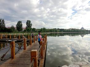 连续12年实现代表委员建议提案100%办结