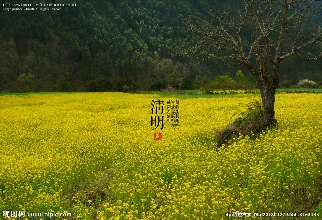土壤污染防治法拟明年完成审议 草案3年易稿10次