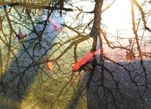 北京本周气温最高飙至18℃ 雾霾或卷土重来