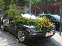 男子花40万大办婚礼 丈母娘却不让新娘入洞房