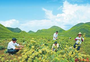 两会开启中国治理新&ldquo;赛季&rdquo;