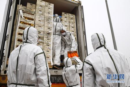 天津销毁20余吨西班牙进口水果