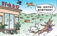 1500只珍稀&ldquo;野味&rdquo;险入吃货之口 32人被公诉