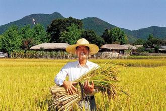 &ldquo;互联网+农资&rdquo;冷静看后务实办