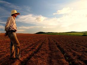 12316十年帮农民挽回损失及增收超百亿