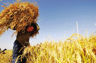 宿迁打造&ldquo;互联网+&rdquo;全民创业新高地