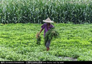 &ldquo;十三五&rdquo;规划纲要正式发布！重点支持八大农业工程