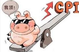 部分地区肉价创新高 小猪淡季为何牛气冲天