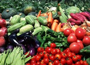 全国放心农资下乡进村宣传周正式启动