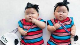 新加坡双胞胎宝宝萌翻网友