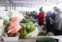 蔬菜价格涨30% 生活成本剧增