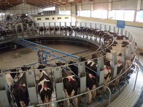 农业部开展 2016年第二批假兽药查处活动