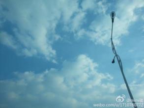 老虎落马，哪个省委反应最快？