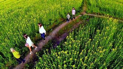 中国人口结构恶化 90后呈断崖式减少