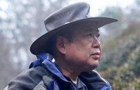 湖北作家隐居神农架当茶农