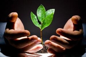 马伤人主人担责  法官依法律化纠纷