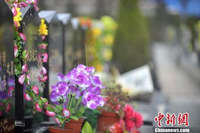 清明假期&ldquo;春游+祭扫&rdquo; 八大城市拥堵线路汇总