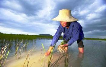 江苏启用首个水生生物永久放流点