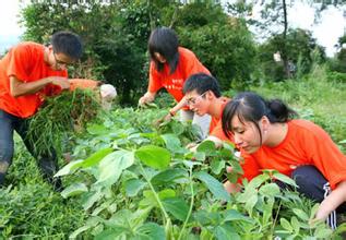 辽宁新立农场：认养农业引领农业新时尚
