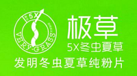 极草隐含的暴利：每斤最高达52.71万元
