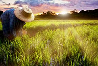 质检总局建出口农产品示范区促农业结构调整