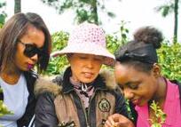 镇江：留学生感受茶文化