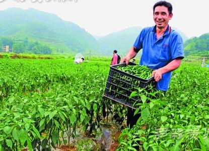 寿光&ldquo;二次创业&rdquo;提速蔬菜产业现代化