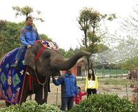 常州动物世界小动物组队植树争当环保使者