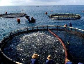 福建百姓可实时掌握环境状况