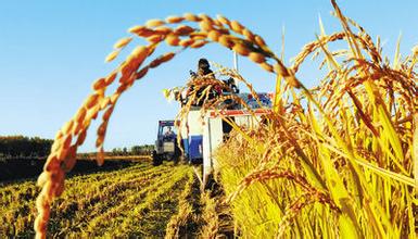 中组部农业部强化培训贫困地区实用人才队伍