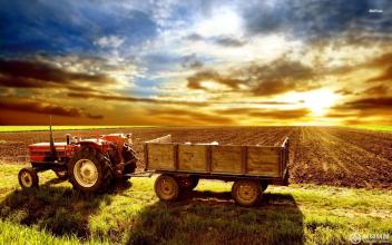 莫让玉米成为第二个&ldquo;大豆&rdquo;