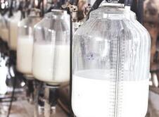 食药监总局公布５家乳企食品安全审计情况