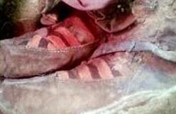 千年木乃伊疑穿阿迪运动鞋 网友：时间旅行者