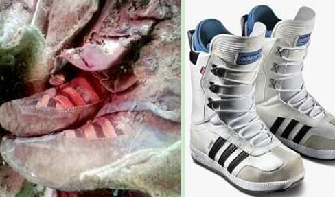 千年木乃伊疑穿阿迪运动鞋 网友：时间旅行者