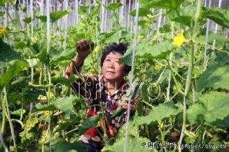 密云民企海外十二国开分号