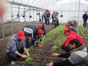 田间地头的一堂课