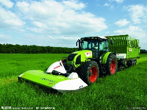 黑龙江确保全部播在丰产期