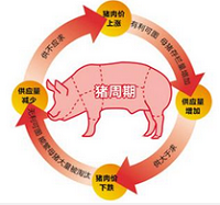 农业部推多举措&ldquo;熨平&rdquo;猪周期