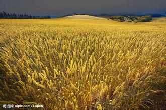 黑龙江耕地质量保护与提升