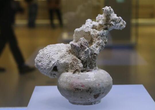 800年前南宋古沉船&ldquo;出水&rdquo;文物亮相南京