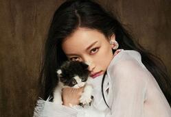 倪妮带喵星人上封面 慵懒演绎复古春意