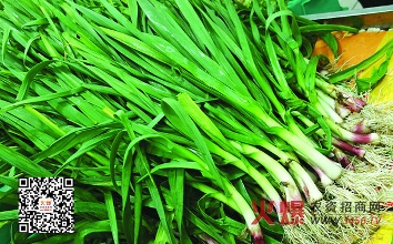 每小时播种3亩 大蒜种植不犯愁