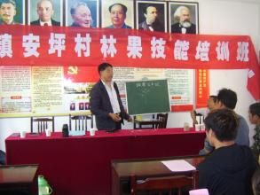 从门外汉到板栗专家