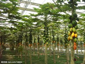 试把&ldquo;节水减肥&rdquo;功效搬至大田